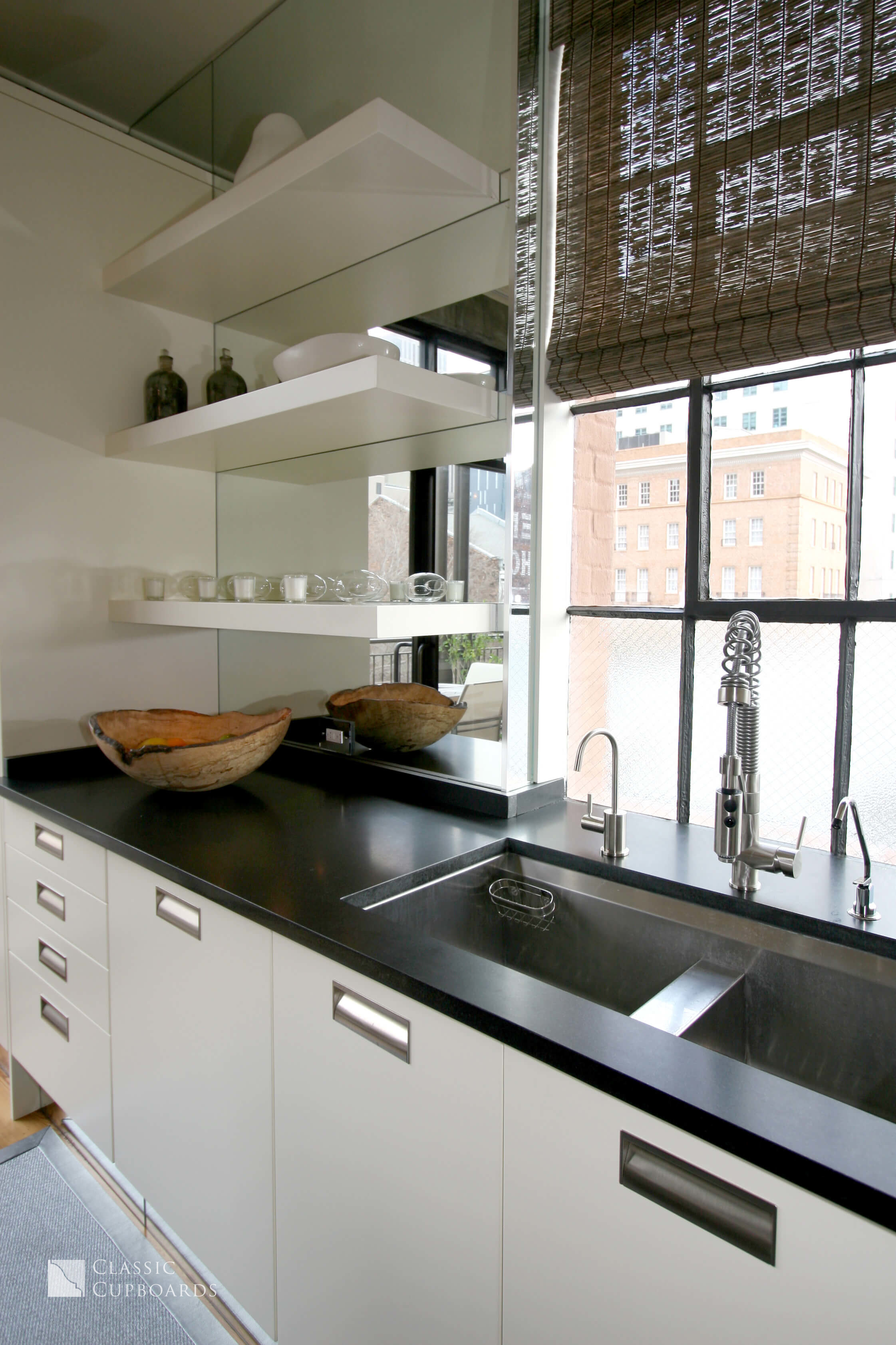 Contemporary Kitchen shelves and sink